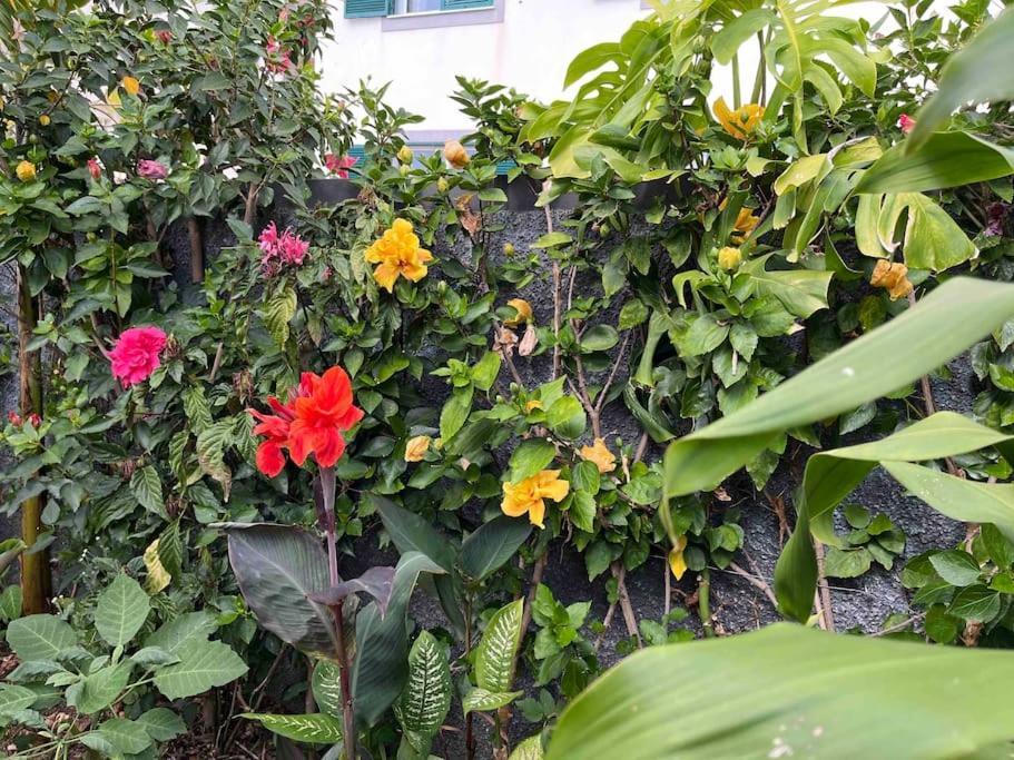 Moradia Com Piscina No Canico Exterior foto